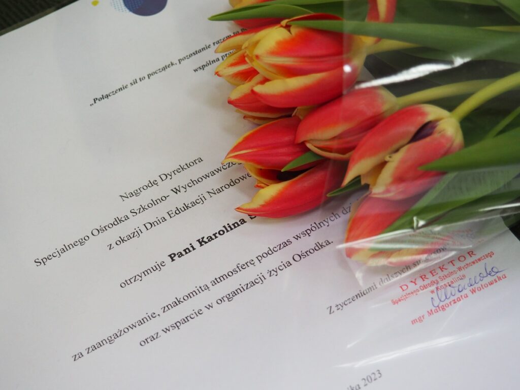 Na zdjęciu widoczny jest dyplom dla nauczyciela/ pracownika oświaty nagrodzonego przez dyrekcję z okazji Dnia Edukacji Narodowej,   na którym leży bukiet czerwono-żóltych tulipanów