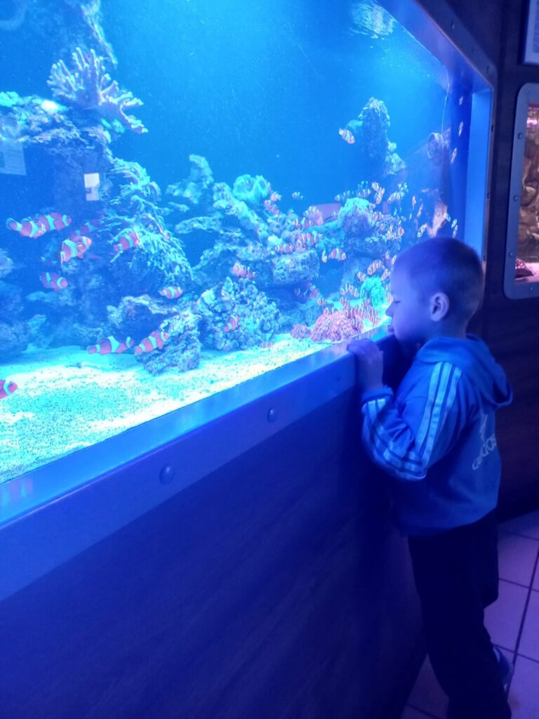 Chłopiec w oceanarium ogląda ryby w akwarium.