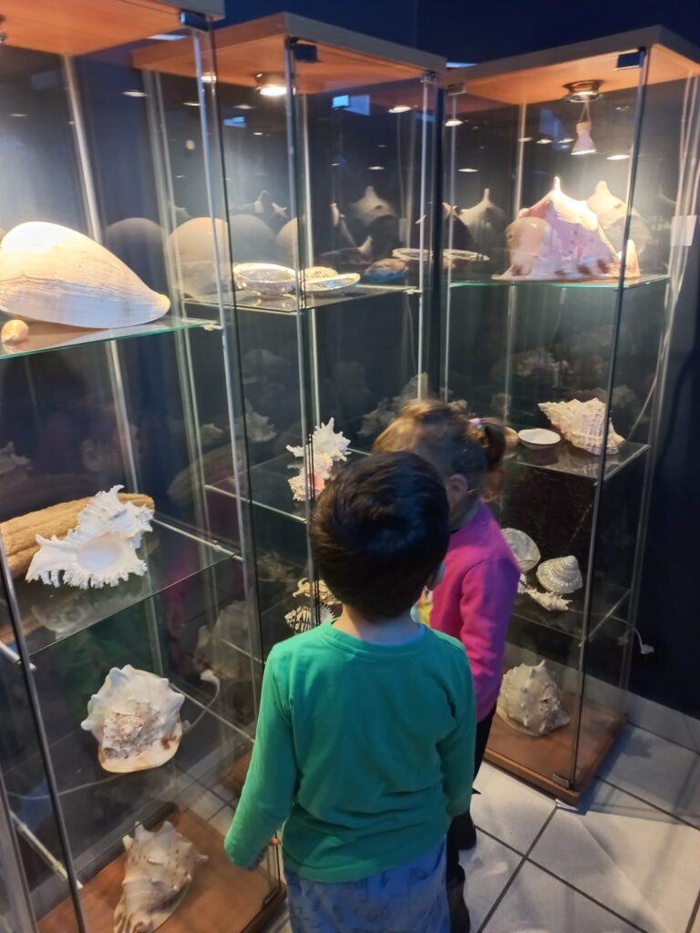 Dziewczynka i chłopiec oglądają w oceanarium wystawę muszli.