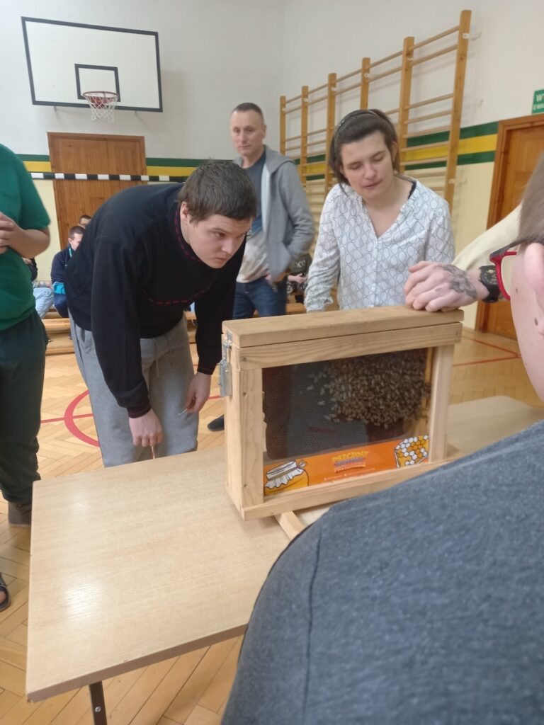 Uczniowie obserwują pszczoły