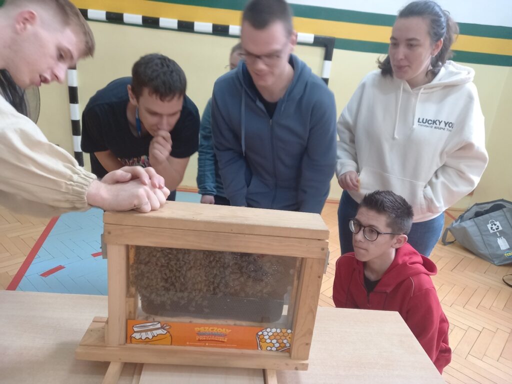 Uczniowie obserwują pszczoły
